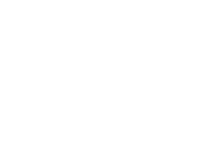 F.lli Piotti 1960 fine shotguns logo
