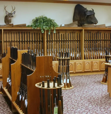 Gun store showroom with rifles and taxidermy